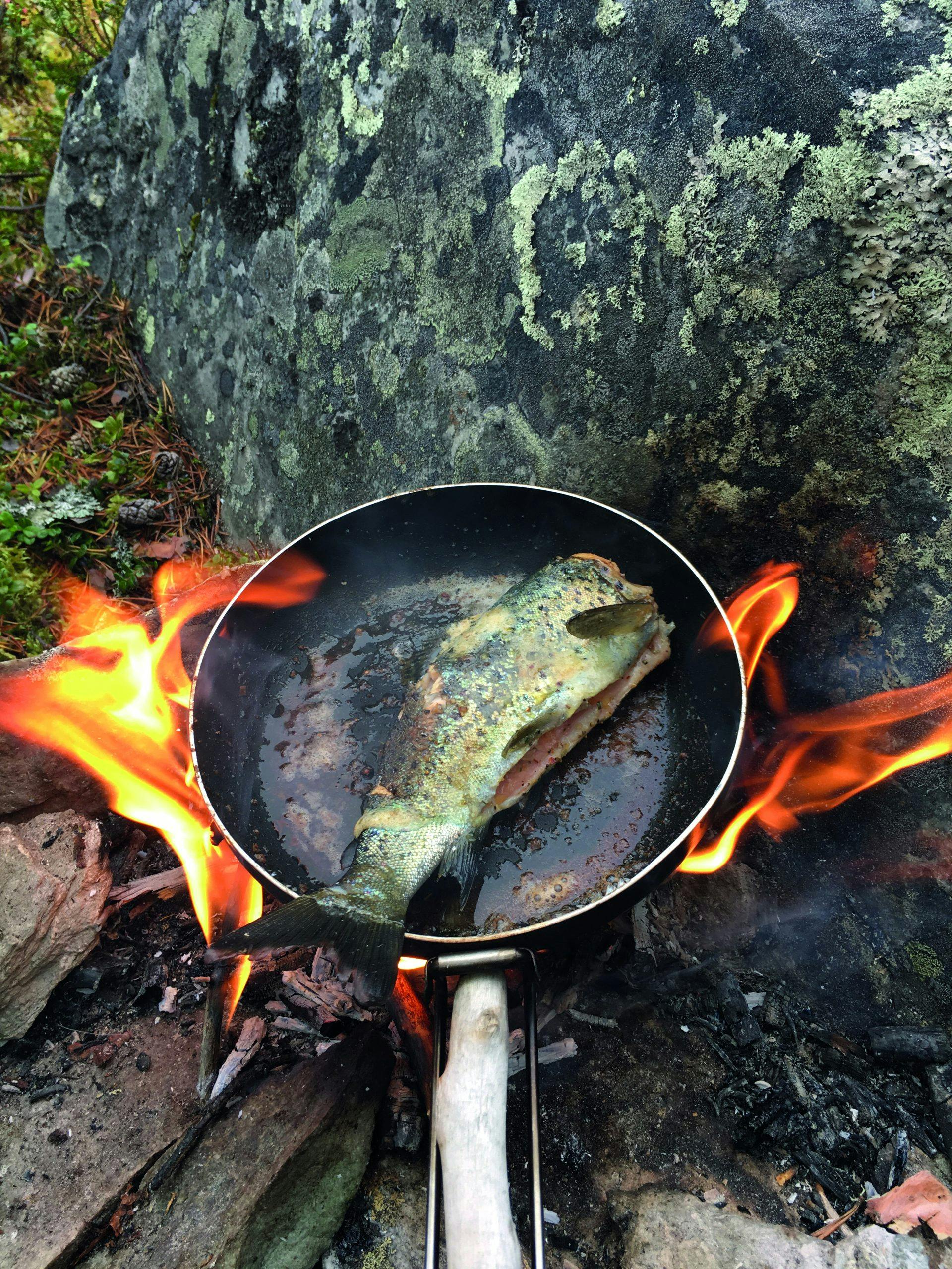 img 0648 7vW9saFuVrD96fEU2agV tilbredning av fisk i naturen